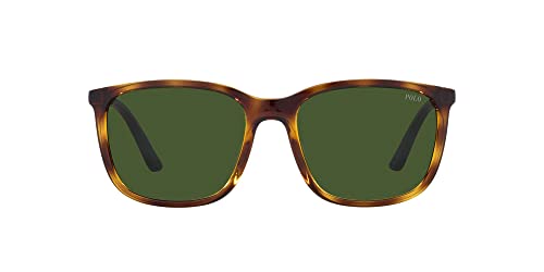 Ralph Lauren Uni 0ph4185u Sonnenbrille, Shiny Havana, 56 Ralph Lauren Uni 0ph4185u Sonnenbrille, Shiny Havana, 56 von POLO RALPH LAUREN