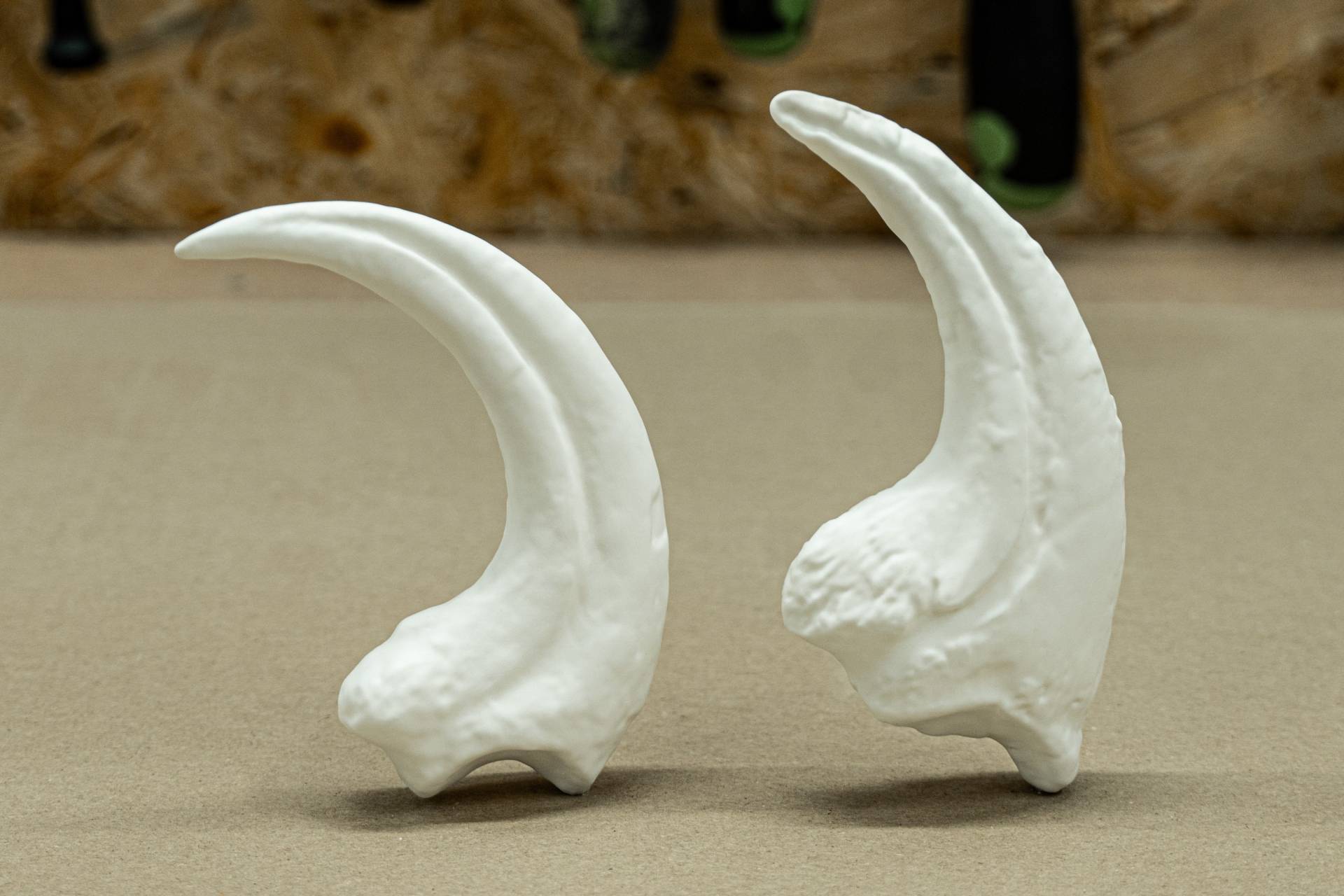 Dinosaur Claw - Resin Cast Allosaurus, Velociraptor von RandomDesignEU