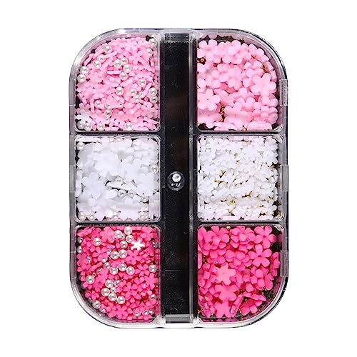 6 Gitter Harz Nail Art Dekorationen 3D Nagel Teile Edelsteine ​​gemischte Größe Nägel Stahl Perlen Nail Art Zubehör Blumen Nagel Für Frauen von Ranuw