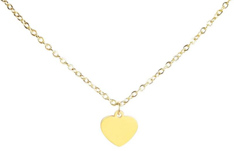 Raptor Kette mit Anhänger Hobi Edelstahl silber Damen wasserfest (Einzeln) von Raptor