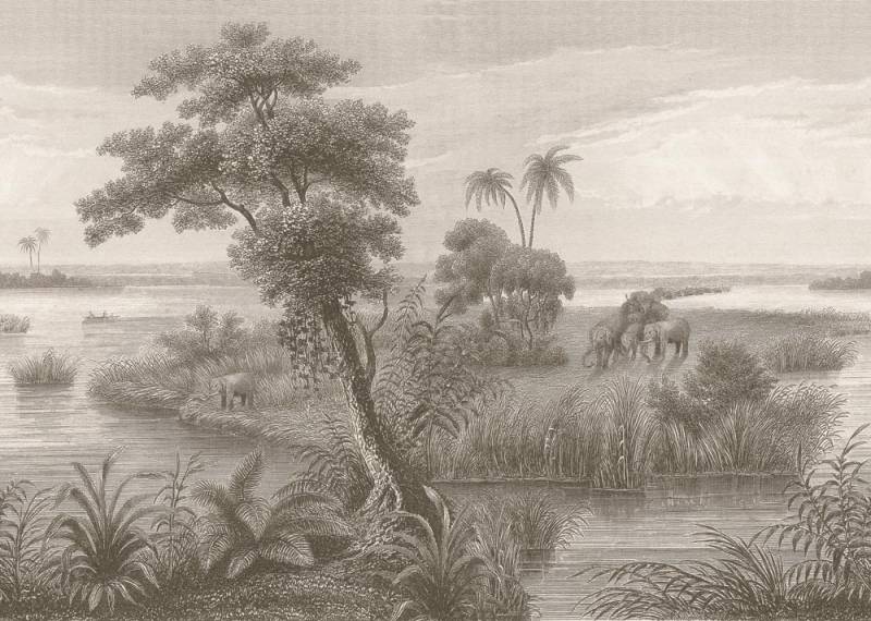 Rasch Fototapete "Vliestapete Lirirco 556162" tropisch glatt Dschungel von Rasch