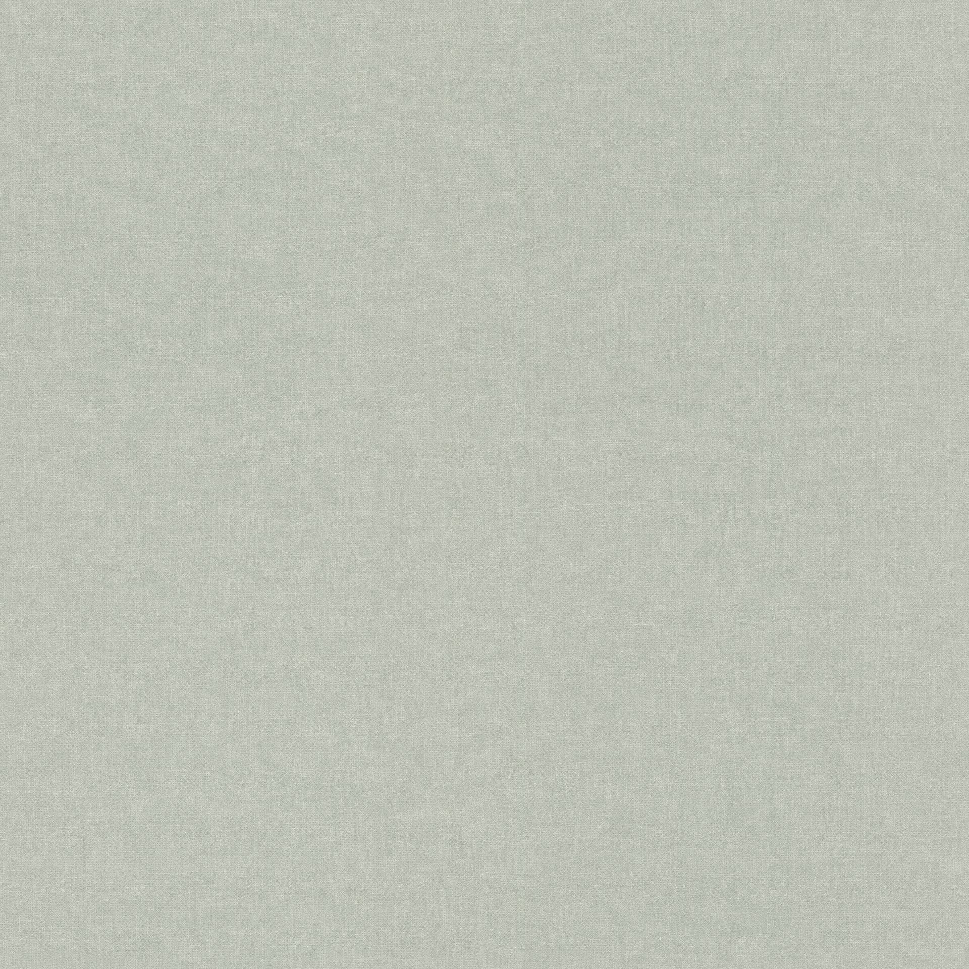 Rasch Vliestapete "Bambino XIX" uni leicht gekörnt von Rasch