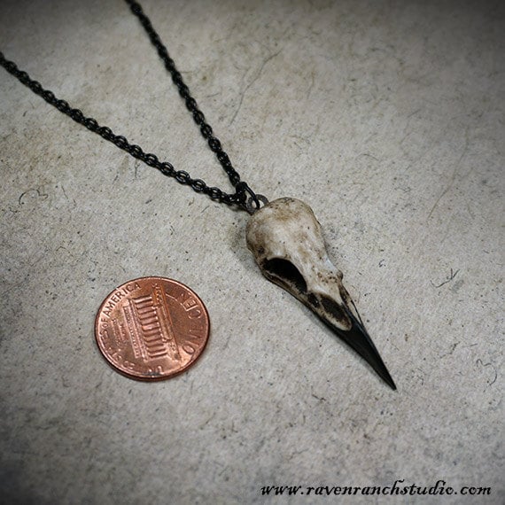 Kuriositäten Geschenk Raben Schädel Halskette Super-Mini | 1, 5 "Tiny Knochen Schmuck Harz Gothic Vogel Tierknochen Charme Amulett von RavenRanch