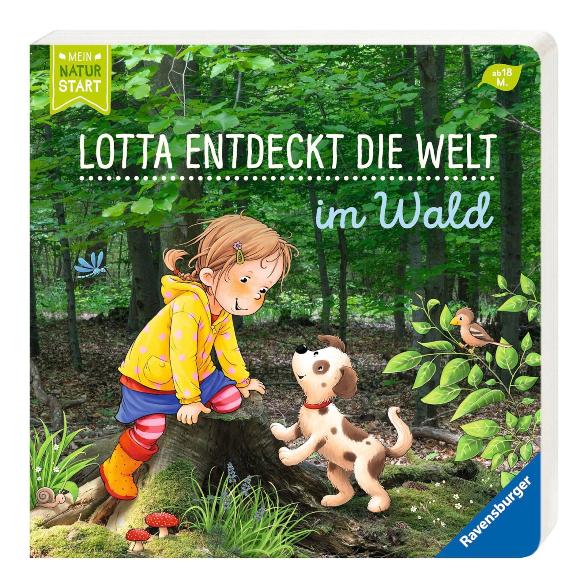 Ravensburger Mein Naturstart Vorlesegeschichte Lotta entdeckt die Welt - Im Wald von Ravensburger