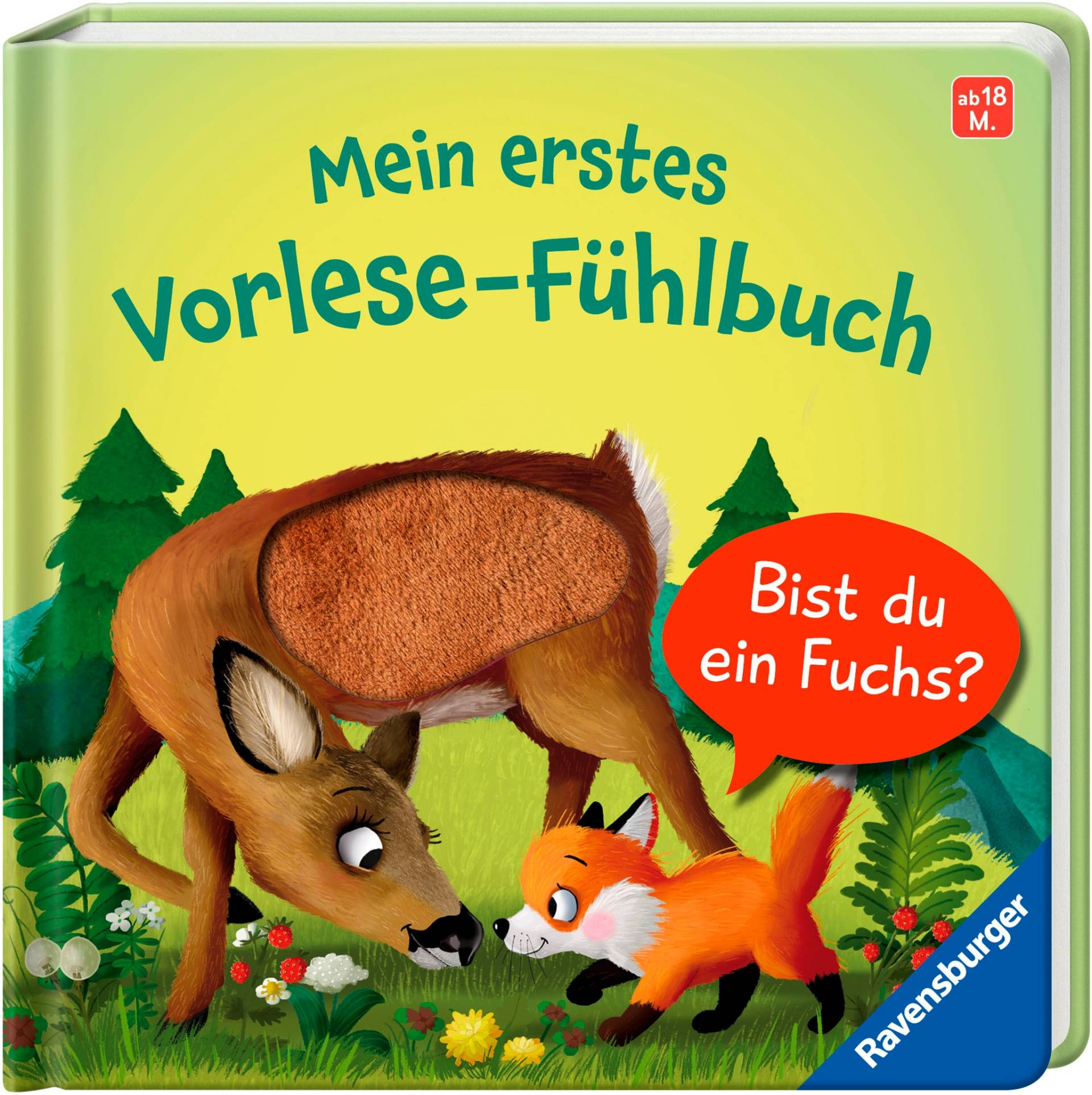Ravensburger "Pappbilderbuch, Mein erstes Vorlese-Fühlbuch Bist du ein Fuchs?" von Ravensburger