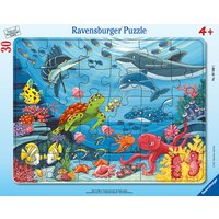 Ravensburger Rahmenpuzzle - Unten im Meer 30 Teile von Ravensburger