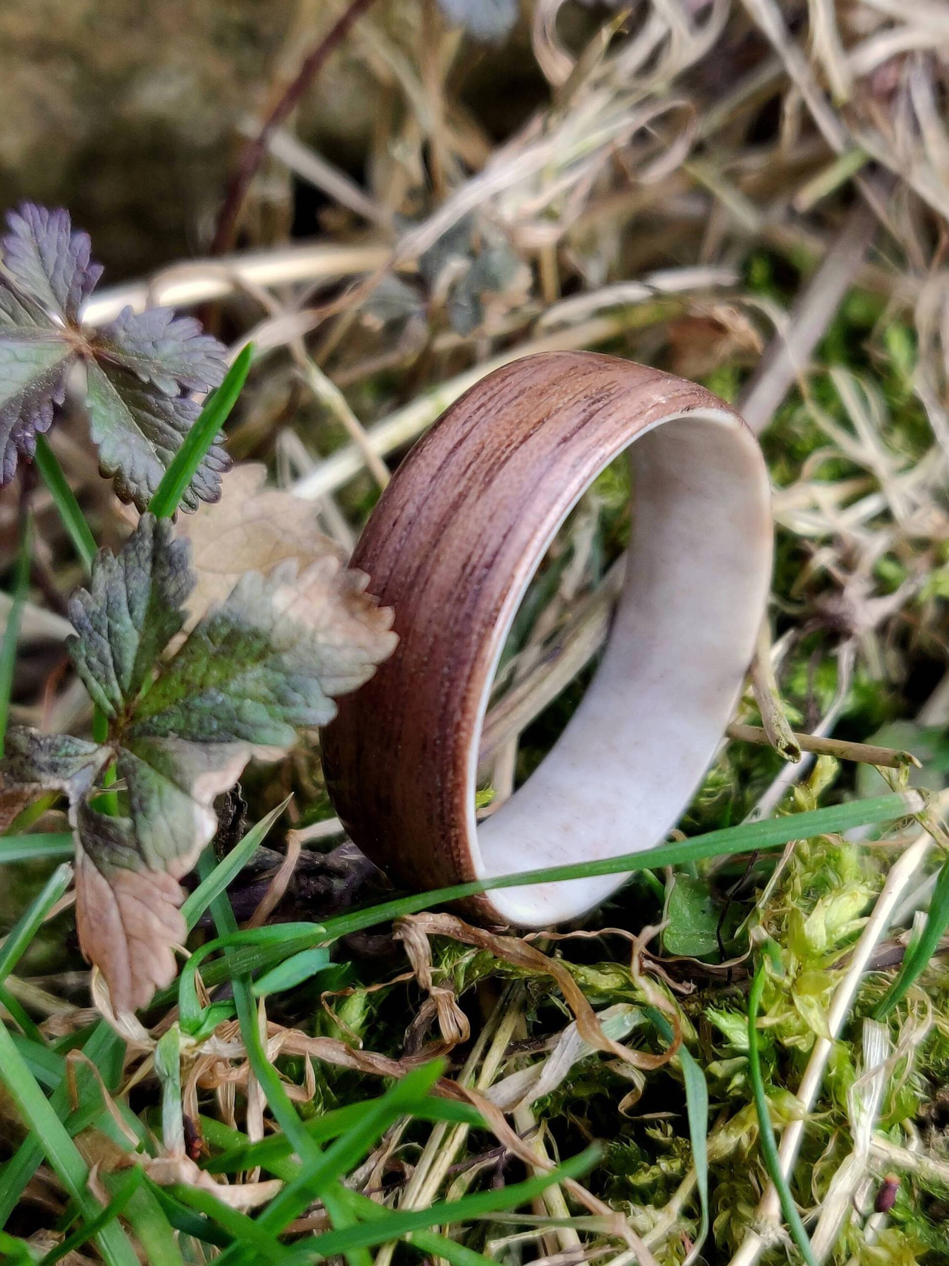 Östliche Schwarznuss Und Geweihring, Gebogener Holzring Östliche Schwarznuss Und Geweihring, Gebogener Holzring von Ravnoposeven