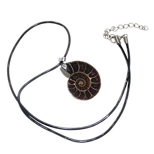 Raxove Halskette Muschel Muschel, Swirl Conch Fossils Schnecke Anhänger Ammonit - Anhänger Muschel St. Geschenk für Damen Herren von Raxove