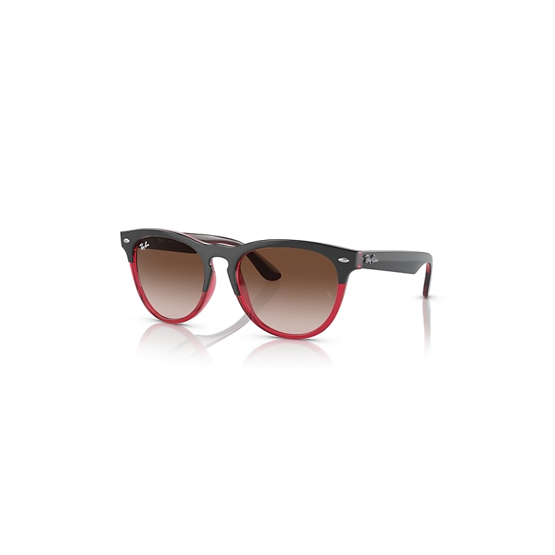 Ray-Ban Iris Sonnenbrillen Grau Auf Rot Transparent Fassung Braun Glas 54-18 von Ray-Ban