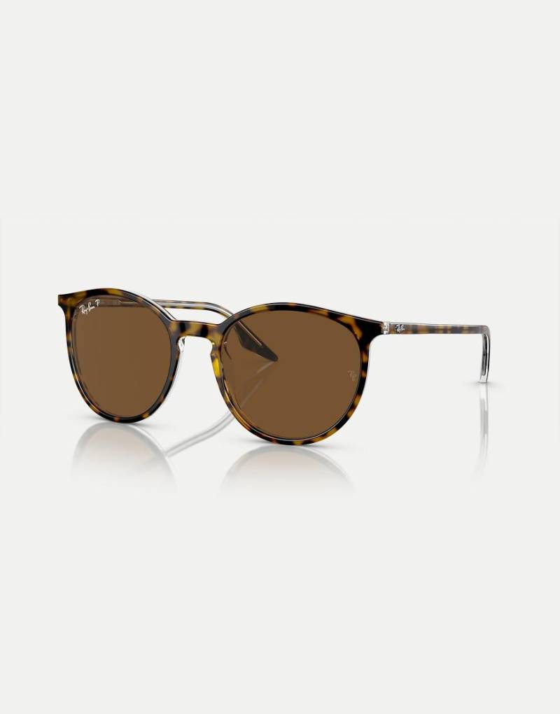 Ray-Ban - RB2204 - Phantos - Polarisierte Sonnenbrille in transparentem Braun mit Gläsern in Braun von Ray-Ban