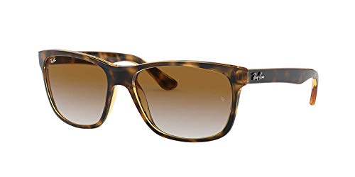 Ray-Ban Herren 0rb4181 710/51 58 Sonnenbrille, Braun (Gestell: Havana, Gläser: Braun Verlauf 710/51), Large (Herstellergröße: 57) EU von Ray-Ban