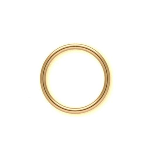 18G 7mm 14K Gold Filled Nahtlose Nase Oder Ohr Hoop | Nur 1 Verfügbar 18G 7mm 14K Gold Filled Nahtlose Nase Oder Ohr Hoop | Nur 1 Verfügbar von ReactionBodyChains