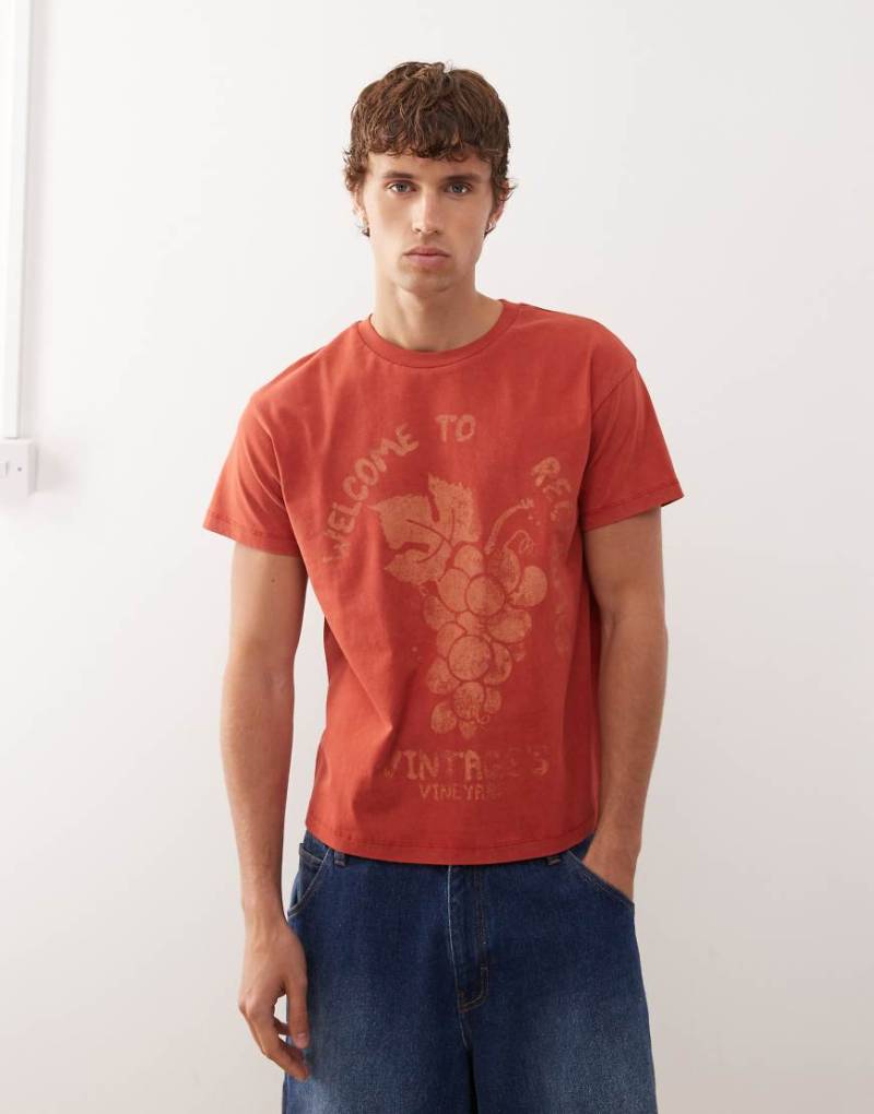 Reclaimed Vintage - Slim - Kastiges Cropped-T-Shirt in gewaschenem Rot mit Fruchtgrafik von Reclaimed Vintage
