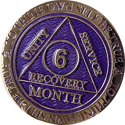 RecoveryChip 6 Monate AA Medaillon Reflex Lila versilbert Chip von RecoveryChip