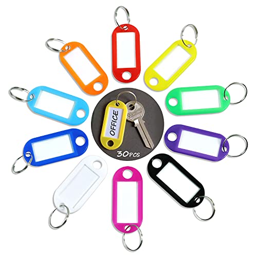 Redamancy Beschriftbar Schlüsselanhänger, 30 Stück Key Label, Kunststoff Schlüsselanhänger, Keyring Halter mit Label Fenster, Auswechselbare Etiketten, in 10 Farben von Redamancy