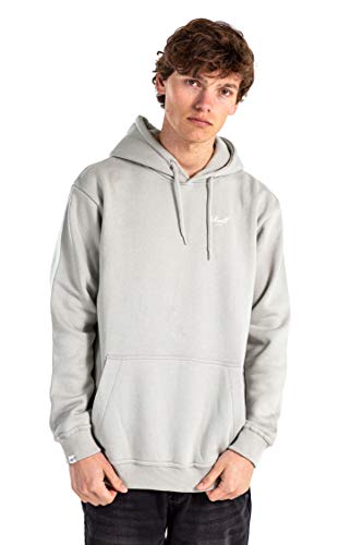 Reell Regular Logo Hoodie, Stone XL Artikel-Nr.1305-020 - 15-018 von Reell