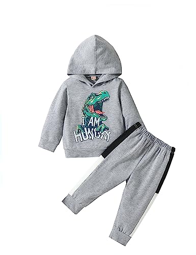 Refein kinder Baby Junge Bekleidung Dinosaurier Langarm Kapuzenpullover Top Cuff Hosen jogginganzug Kleinkind Outfit Set von Refein