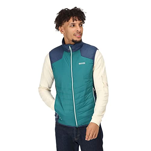 Regatta Herren Halton Vi Bodywarmer, Pacific Green/Admiral, XL von Regatta