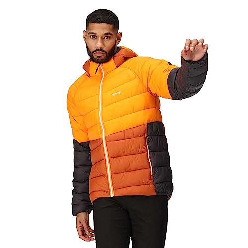 Regatta Harrock II Steppjacke/Winterjacke Herren mit Kapuze sowie Wasserabweisend, Größe:M, Farbe:Orange Regatta Harrock II Steppjacke/Winterjacke Herren mit Kapuze sowie Wasserabweisend, Größe:M, Farbe:Orange von Regatta
