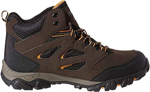 Regatta Herren Holcombe Iep Mid Wanderschuhe, (Peat/Inca Gld 2lp), 39 EU von Regatta