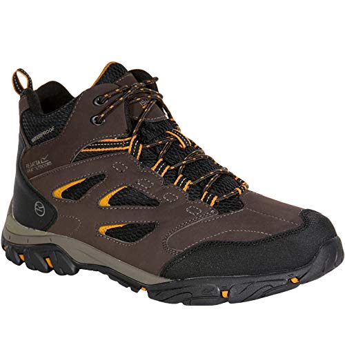 Regatta Herren Holcombe Iep Mid Wanderschuhe, Peat/IncaGld, 47 EU von Regatta