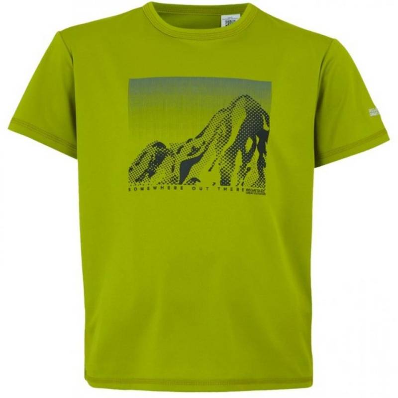 Regatta Print-Shirt T-Shirt mit Motiv Kinder AlvaradoIX Kids T-Shirts von Regatta