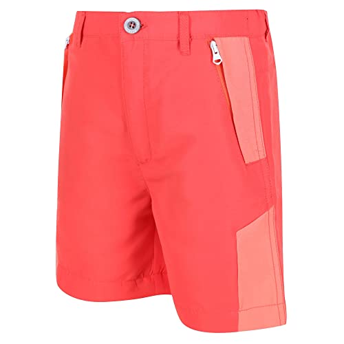 Regatta Sorcer Mount Shorts II Wasserabweisende, schnell trocknende, reflektierende Shorts für Kinder. Mit DWR- und Isoflex-Technologien. Zum Wandern geeignet. Regatta Sorcer Mount Shorts II Wasserabweisende, schnell trocknende, reflektierende Shorts für Kinder. Mit DWR- und Isoflex-Technologien. Zum Wandern geeignet. von Regatta