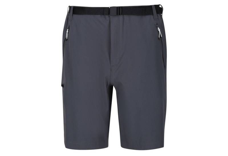 Regatta Trekkinghose Regatta Xert III Herren Stretchshorts grau RMJ233-038 von Regatta