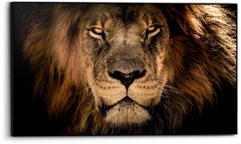 Reinders Bild "Löwe" von Reinders!