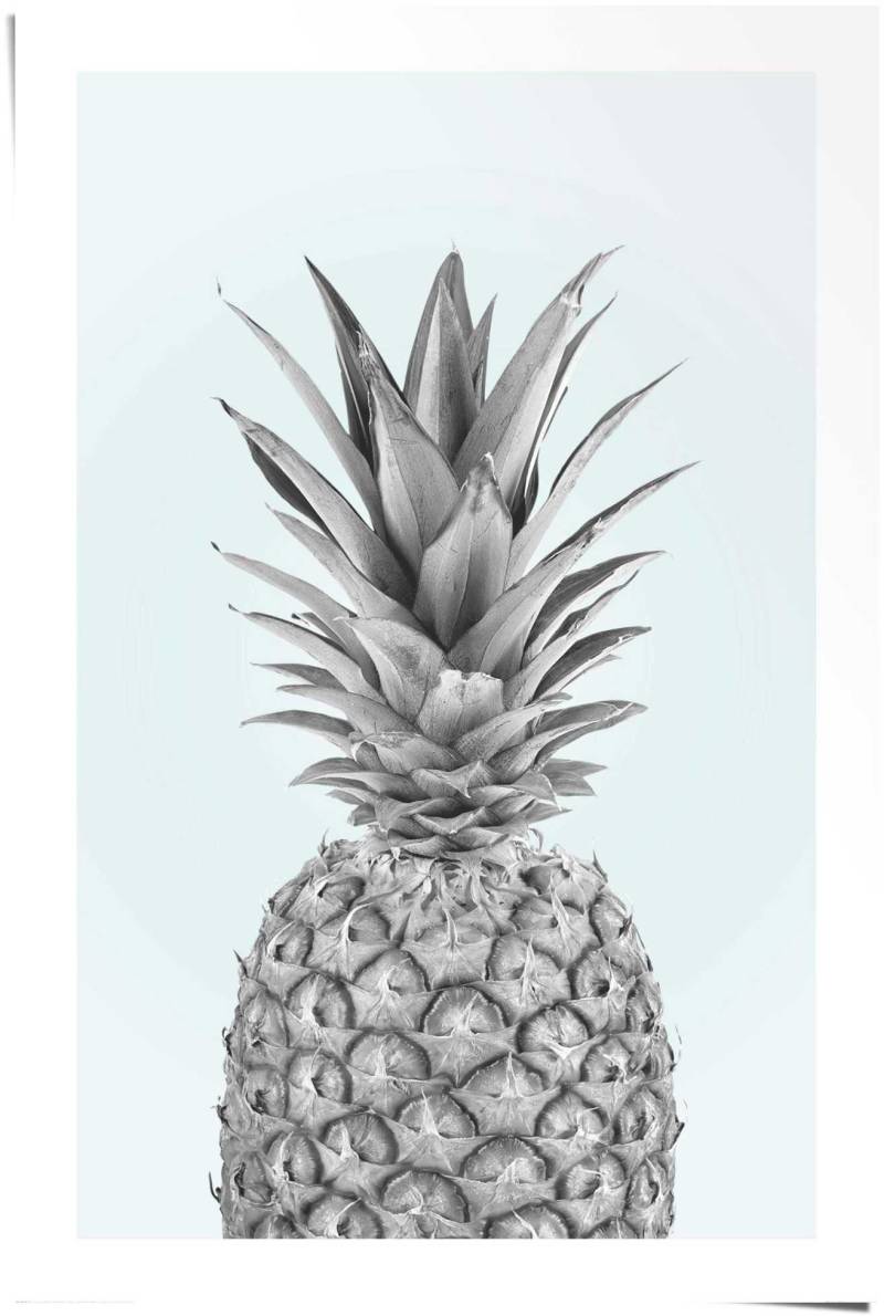 Reinders Poster "Ananas" 1 Stk. tlg. von Reinders!