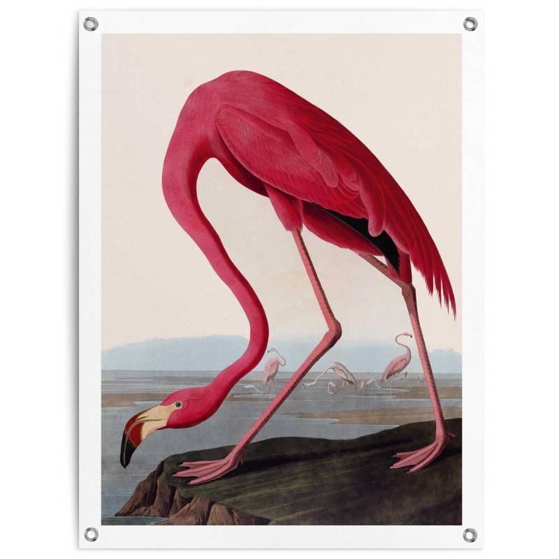 Reinders Poster "Audubon Flamingo" Garten - Rosa - Leinwand - Tiere - 60x80 cm von Reinders!