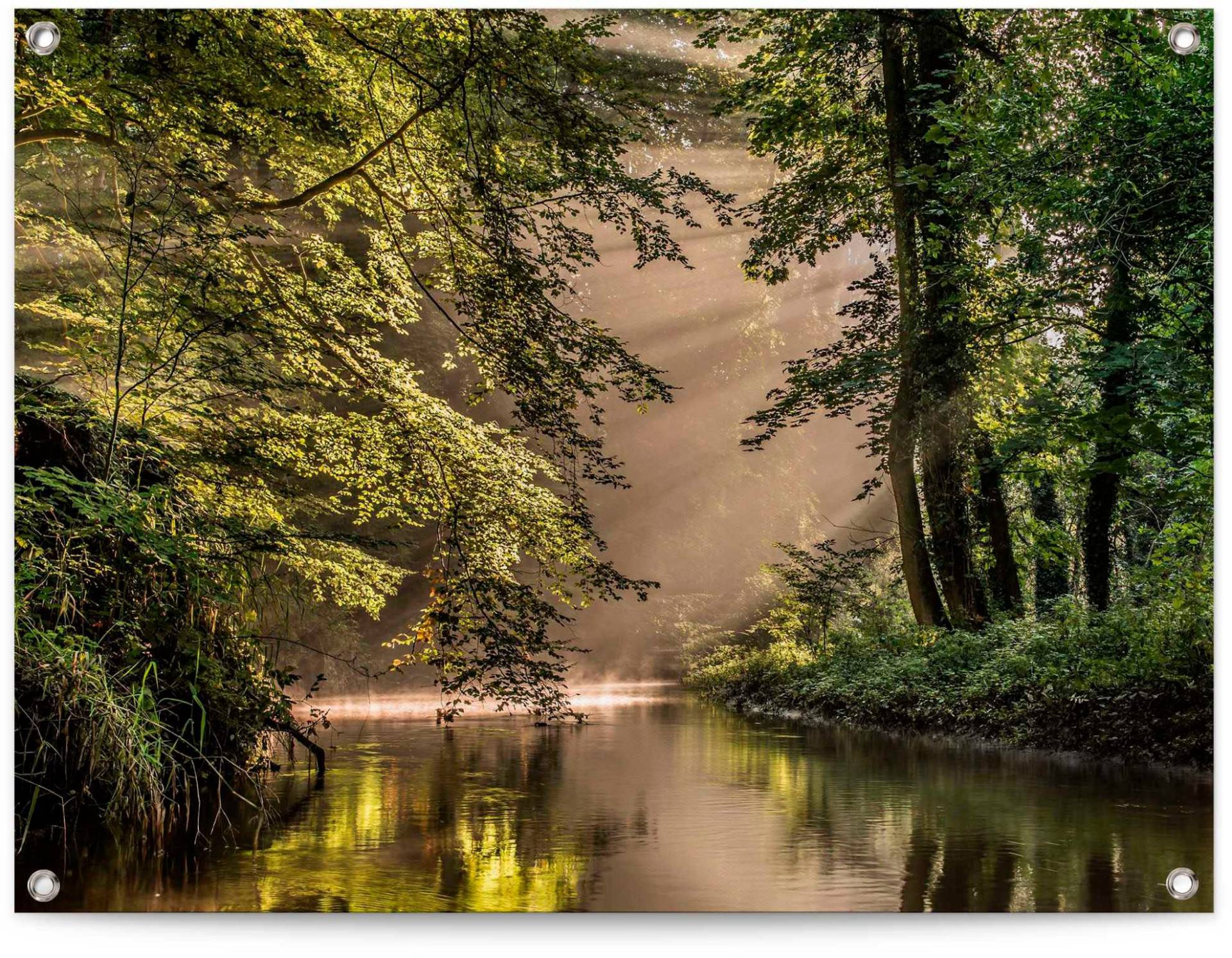 Reinders Poster "Bach im Wald" von Reinders!