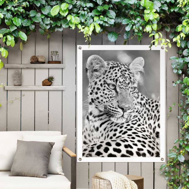Reinders Poster "Leopard" Outdoor für Garten oder Balkon von Reinders!
