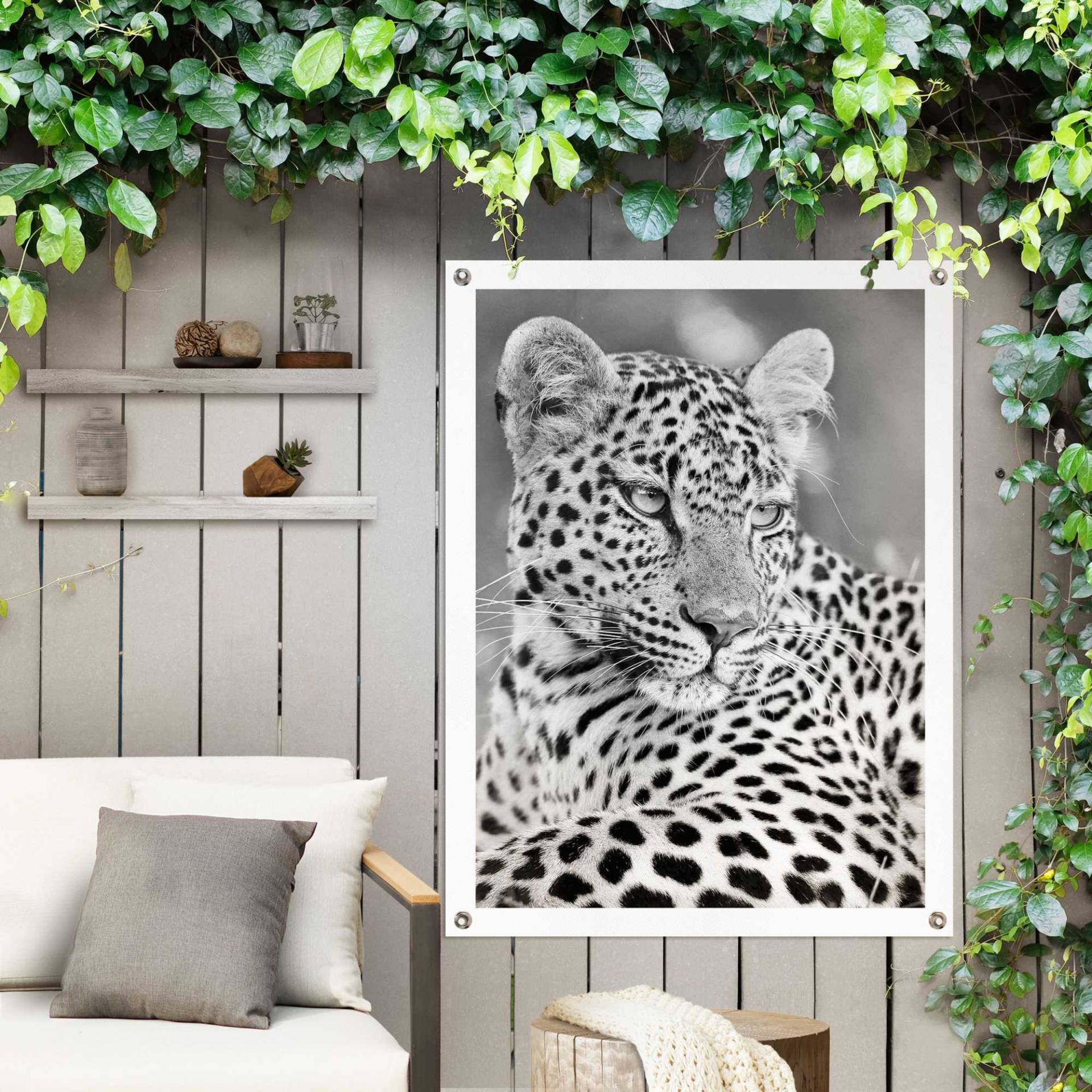 Reinders Poster "Leopard" von Reinders!