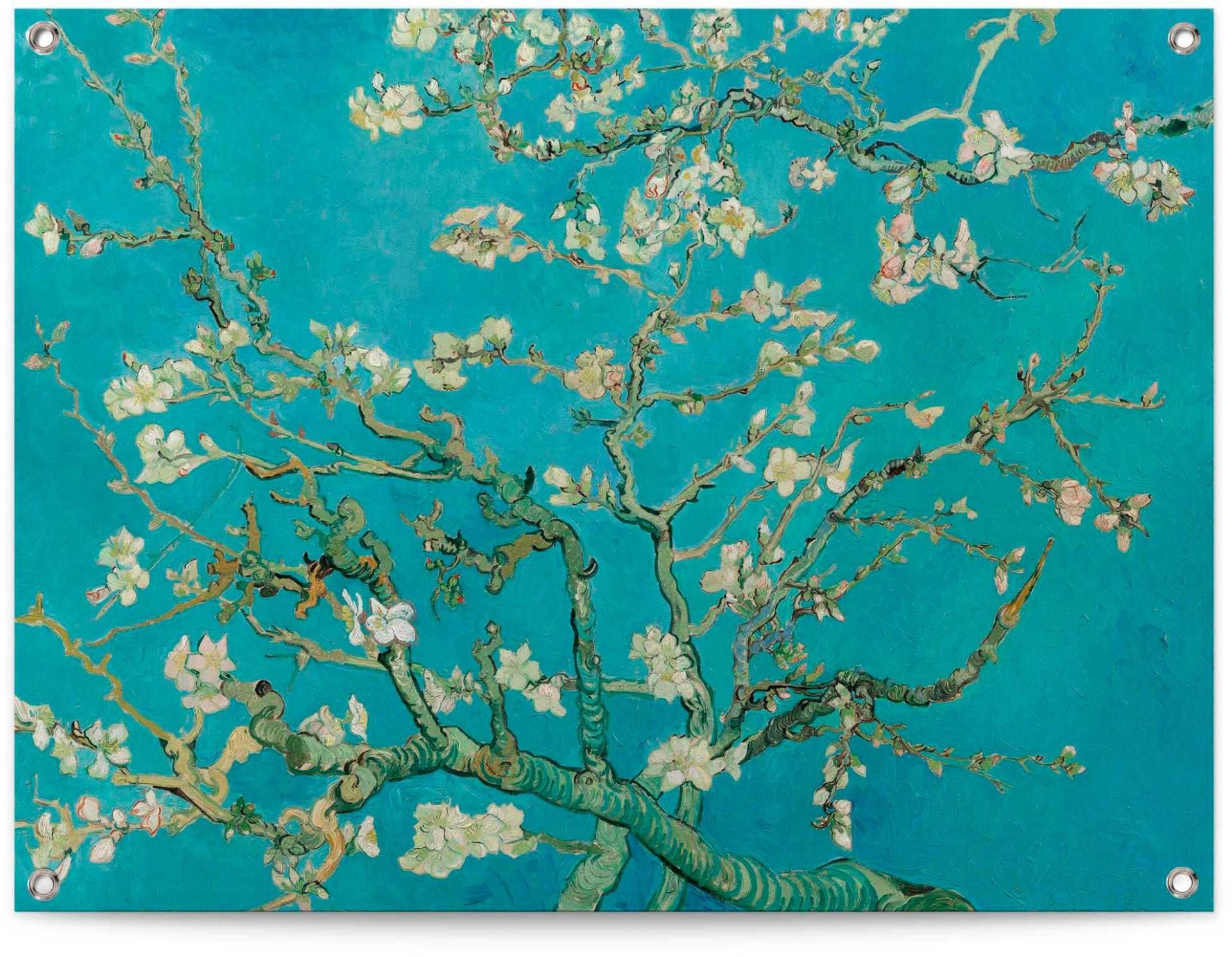 Reinders Poster "Mandelblüte - Vincent van Gogh" von Reinders!