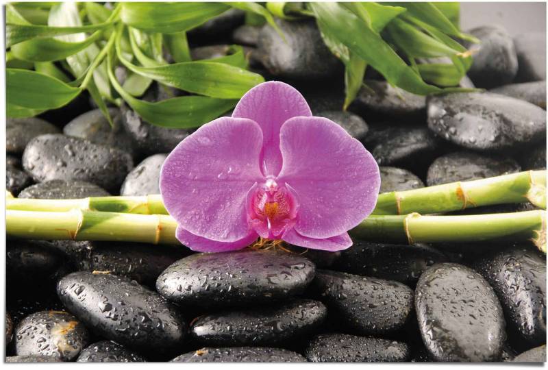 Reinders Poster "Orchidee" 1 Stk. tlg. von Reinders!