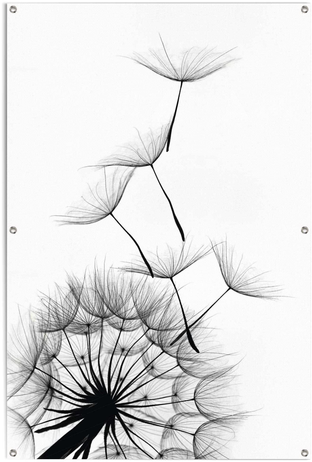 Reinders Poster "Pusteblume" leichtes und wasserfestes Gartenposter für den Außeneinsatz von Reinders!