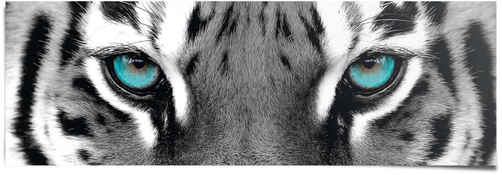 Reinders Poster "Sibirischer Tiger" von Reinders!