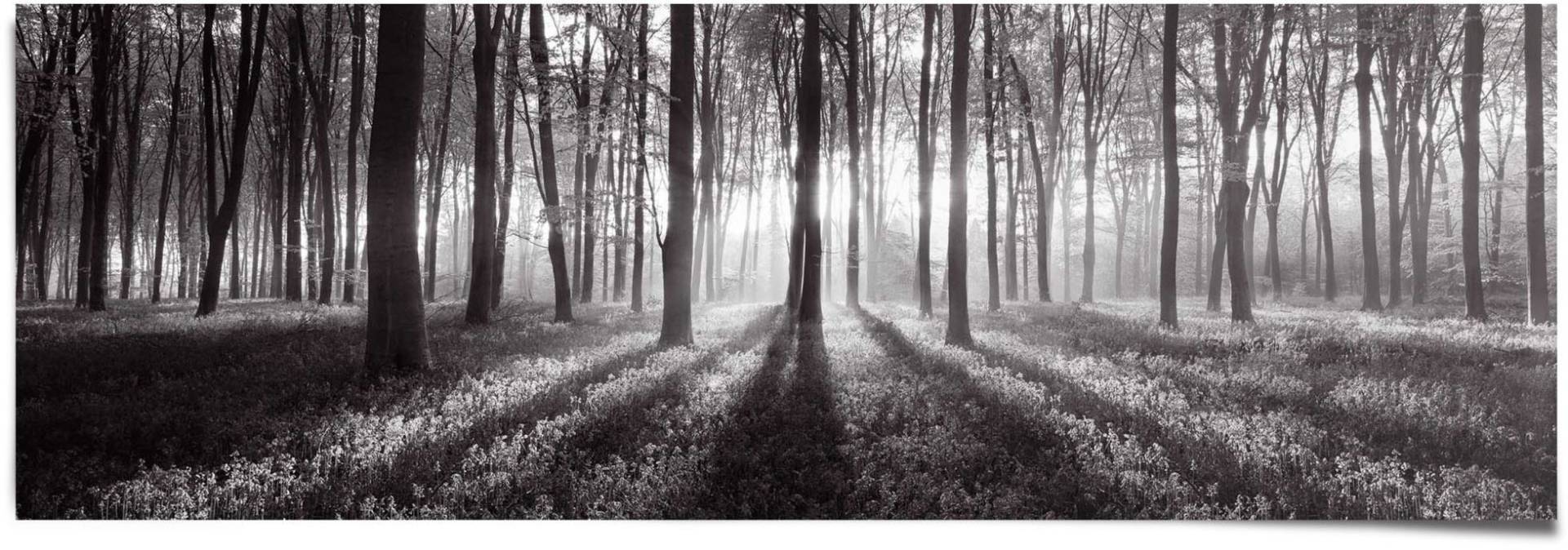 Reinders Poster "Sonnenaufgang im Wald Schwarz-Weiß", (1 St.) von Reinders!