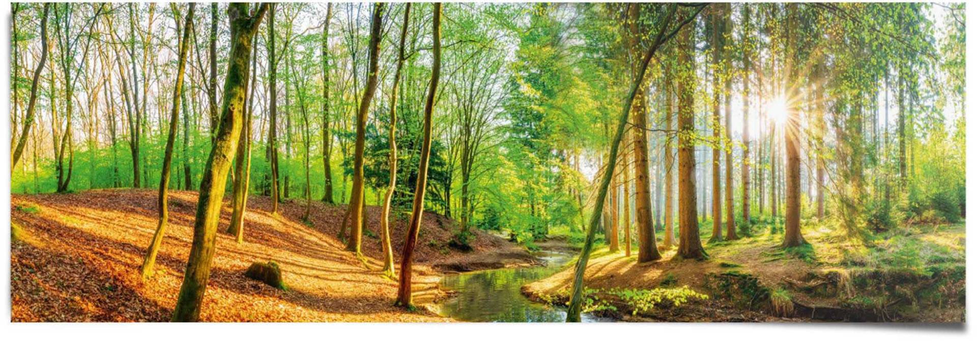 Reinders Poster "Sonniger Wald" von Reinders!