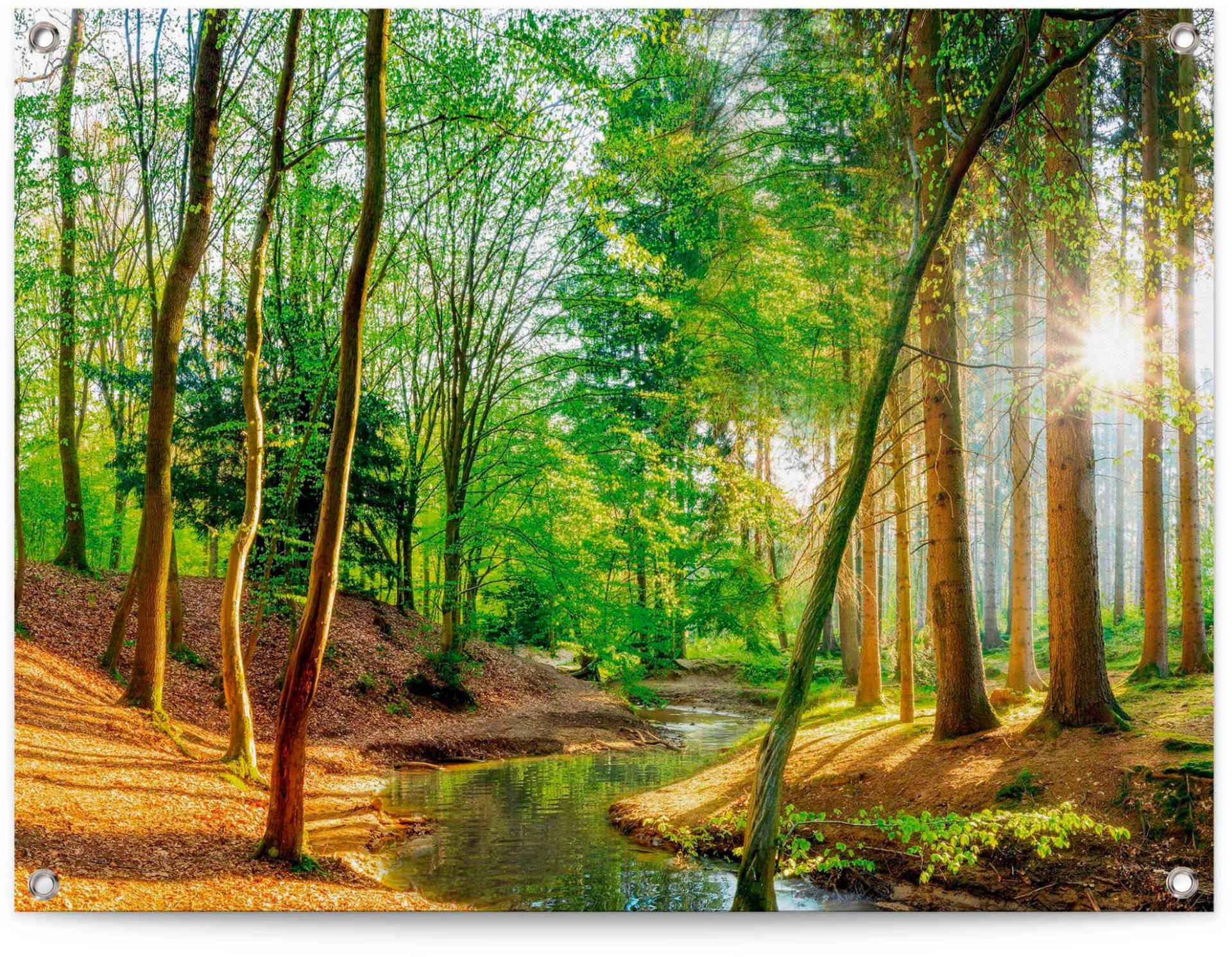 Reinders Poster "Sonniger Wald" von Reinders!