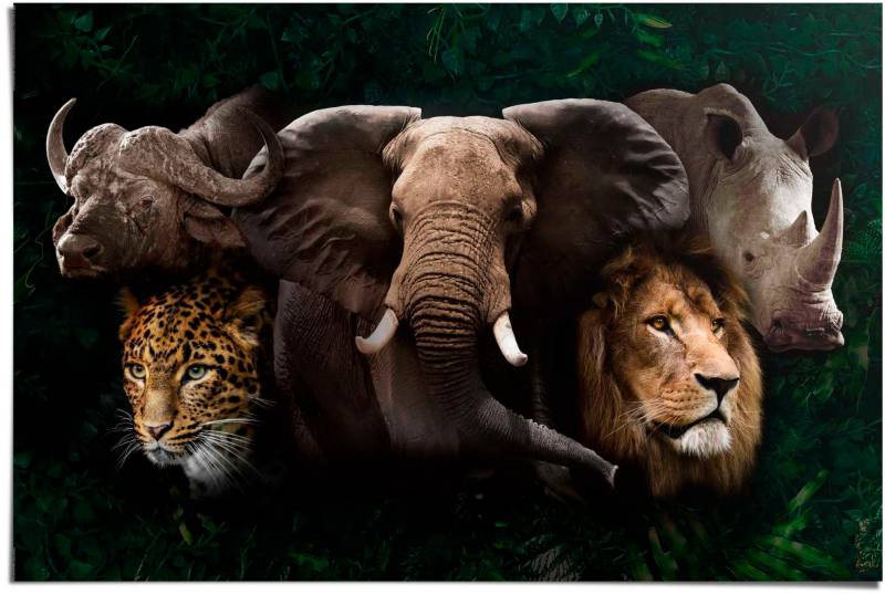 Reinders Poster "The big five" von Reinders!