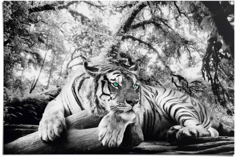 Reinders Poster "Tigerblick" 1 Stk. tlg. von Reinders!