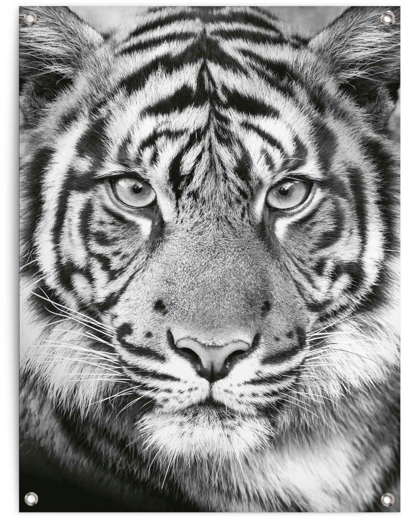 Reinders Poster "Tigerblick" von Reinders!