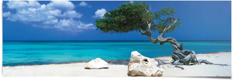 Reinders Poster "Tom Mackie divi divi Baum" 1 Stk. tlg. von Reinders!