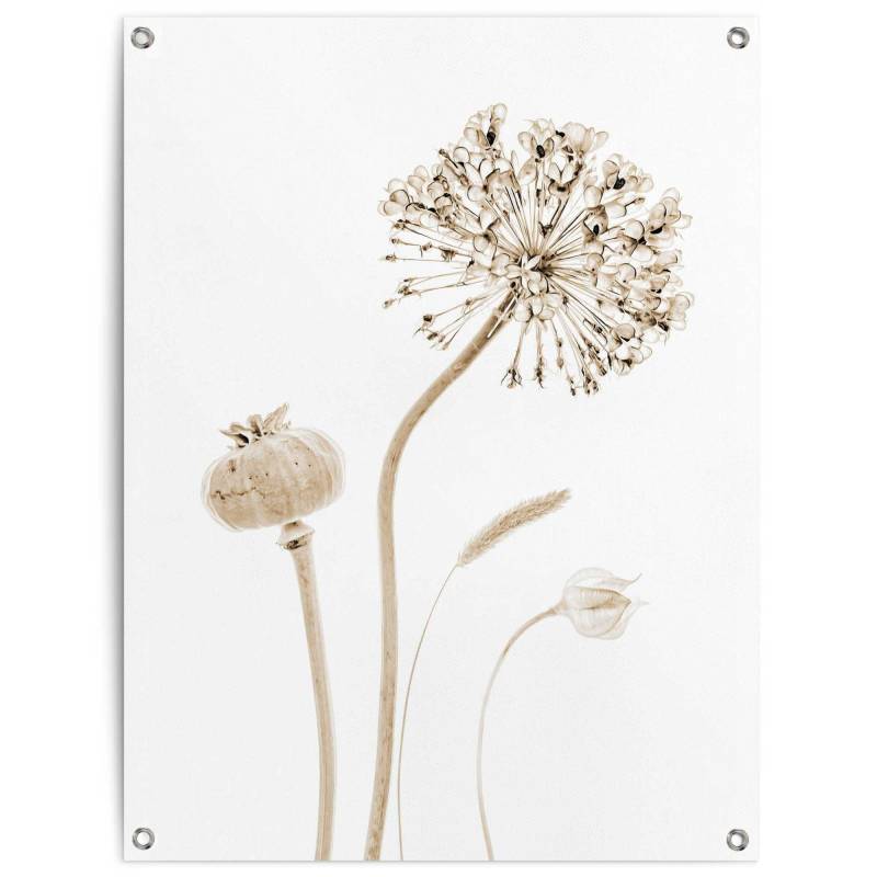Reinders Poster "Trockenblumen" Outdoor für Garten oder Balkon von Reinders!