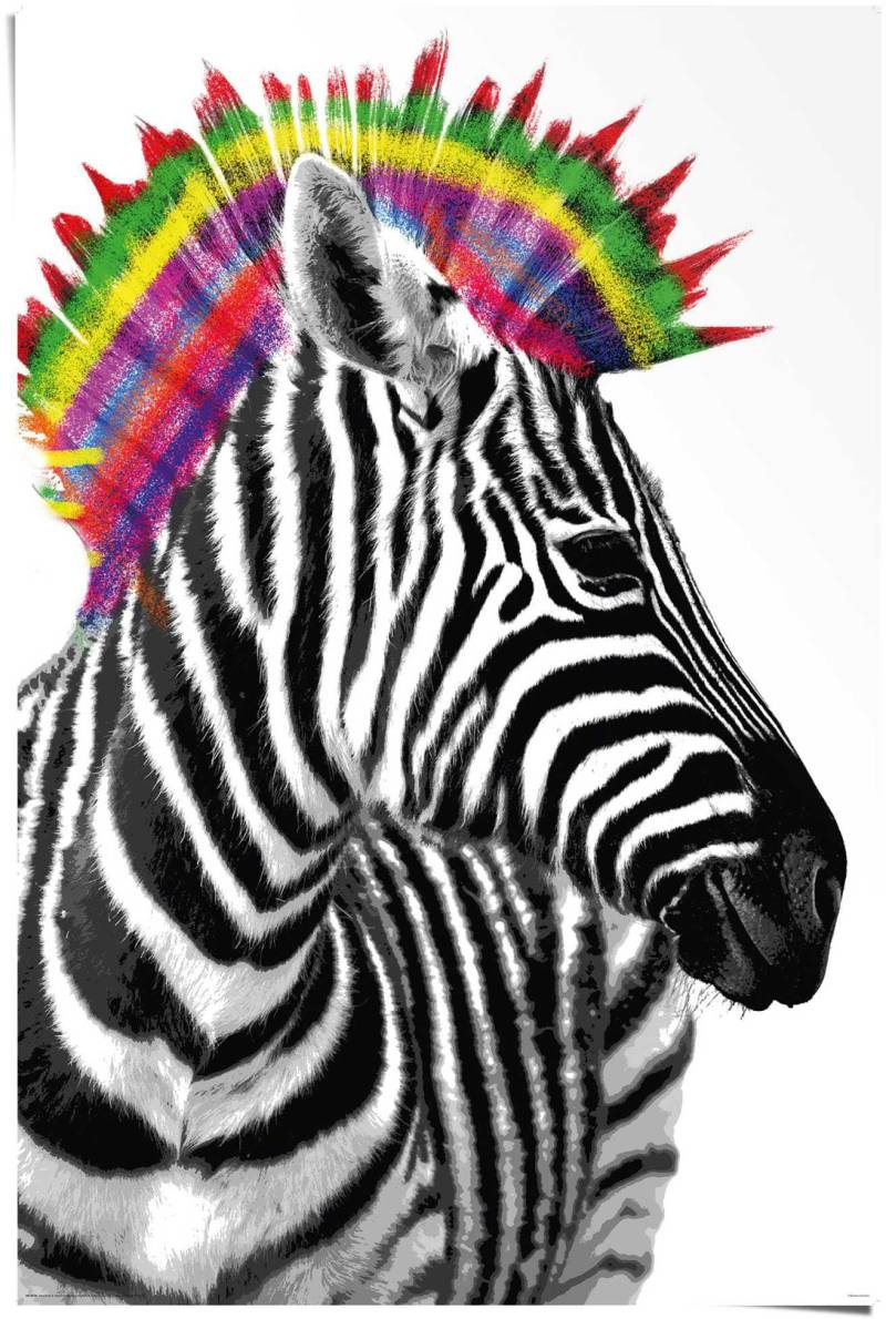 Reinders Poster "Zebra Punk" 1 Stk. tlg. von Reinders!