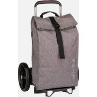 reisenthel - citycruiser Twist Silver - Einkaufstrolley  , 40 l von Reisenthel