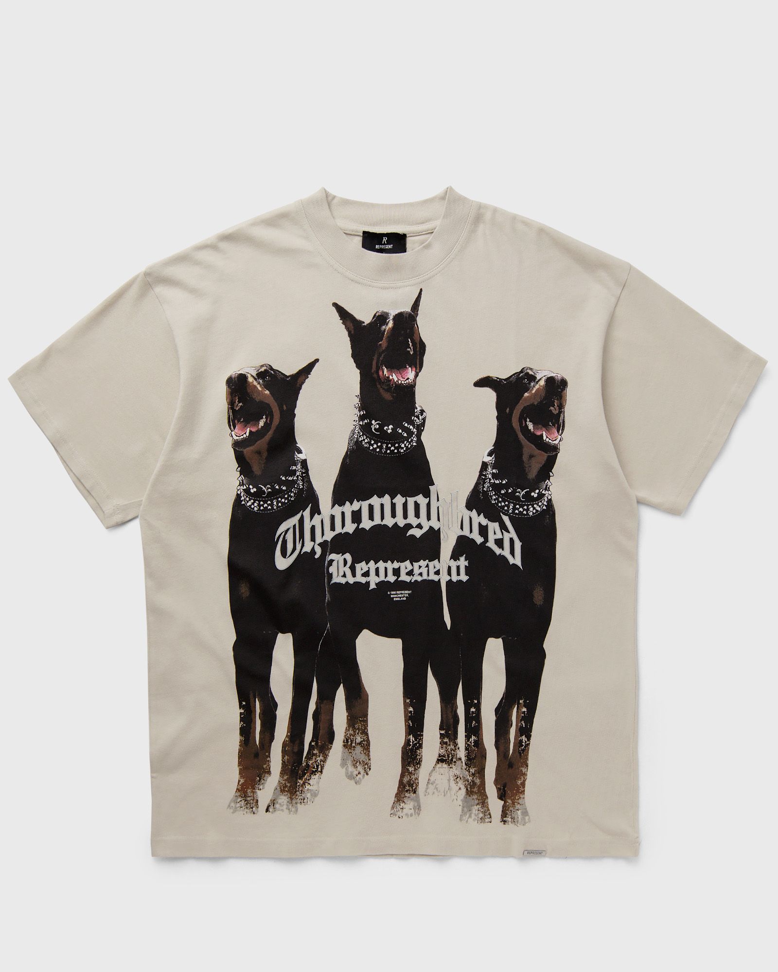 Represent THOROUGHBRED T-SHIRT men Shortsleeves beige in Größe:L von Represent