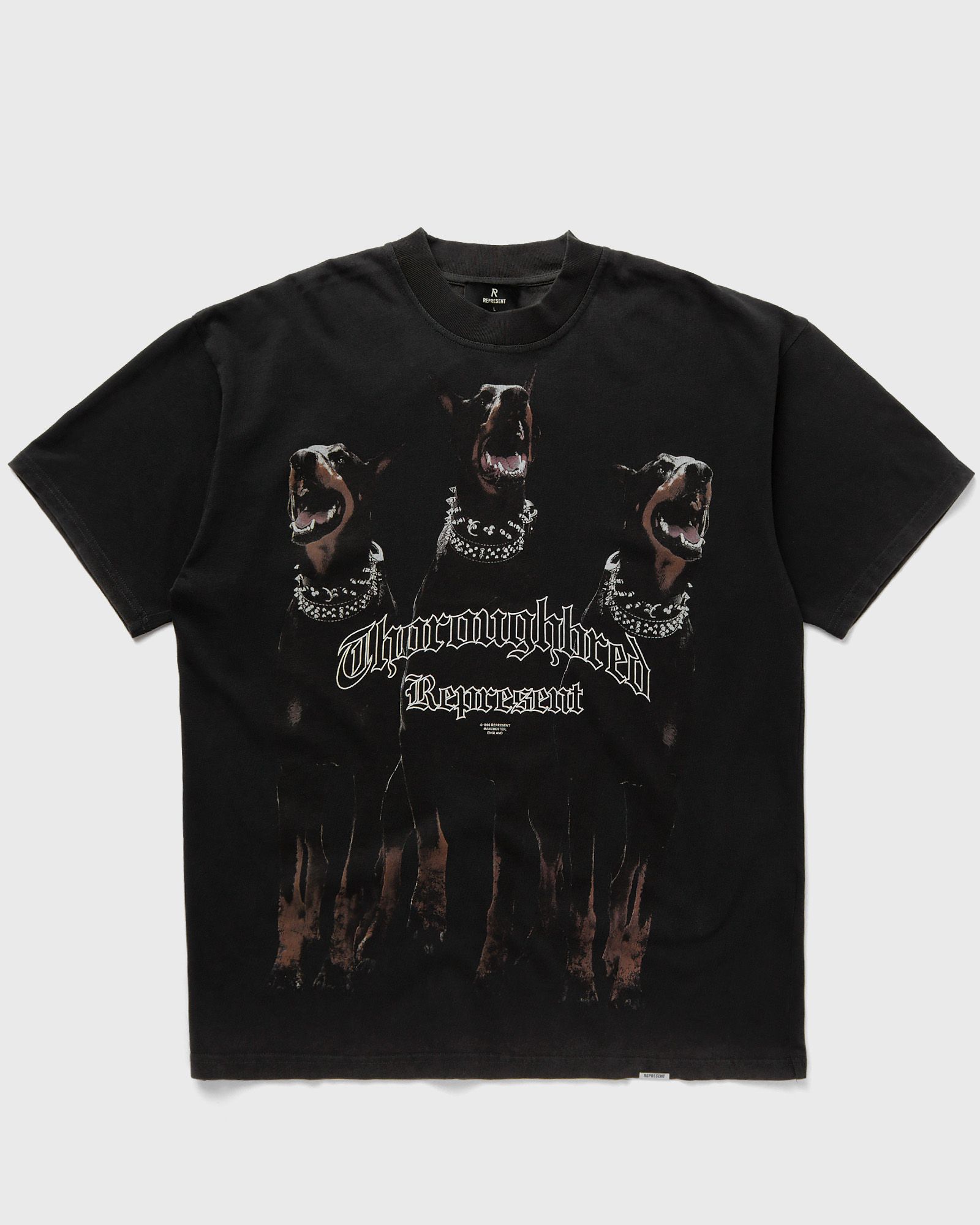 Represent THOROUGHBRED T-SHIRT men Shortsleeves black in Größe:M von Represent